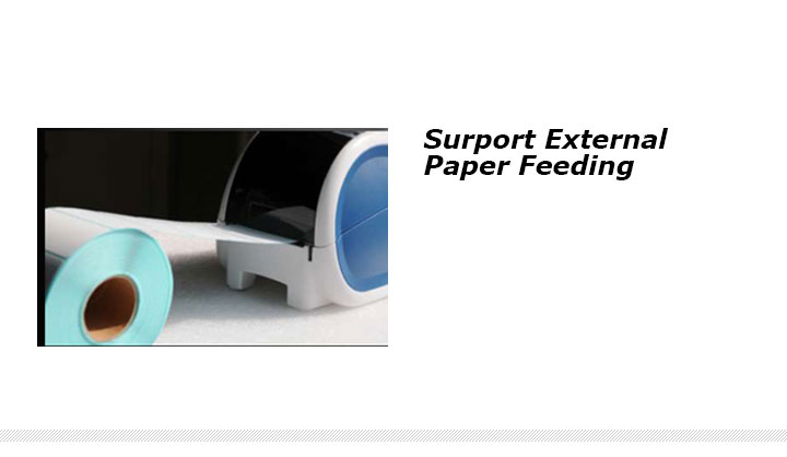 Support External Paper Feeding
