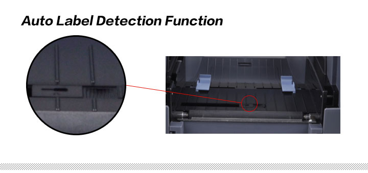 Auto Label Detection Function